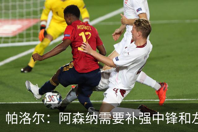 帕洛尔：阿森纳需要补强中锋和左路，希望能引进克瓦拉和小蜘蛛