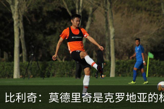 比利奇：莫德里奇是克罗地亚的标杆 泰尔齐奇执教毕巴很合适